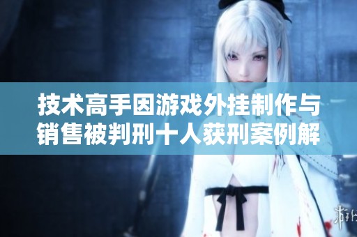 技术高手因游戏外挂制作与销售被判刑十人获刑案例解析