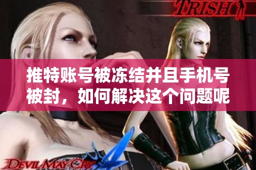 推特账号被冻结并且手机号被封，如何解决这个问题呢