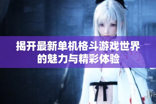 揭开最新单机格斗游戏世界的魅力与精彩体验