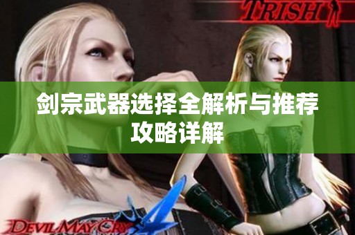 剑宗武器选择全解析与推荐攻略详解