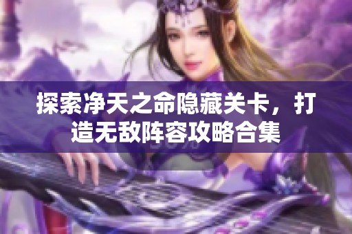 探索净天之命隐藏关卡，打造无敌阵容攻略合集