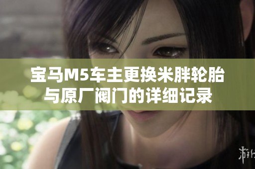 宝马M5车主更换米胖轮胎与原厂阀门的详细记录