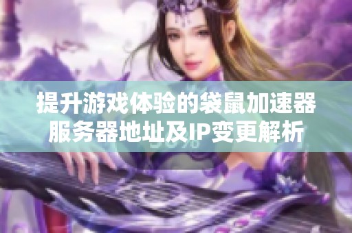 提升游戏体验的袋鼠加速器服务器地址及IP变更解析