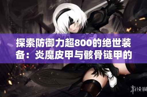 探索防御力超800的绝世装备：炎魔皮甲与骸骨链甲的奇妙组合