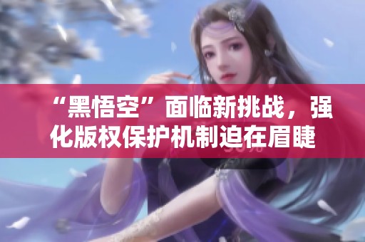 “黑悟空”面临新挑战，强化版权保护机制迫在眉睫
