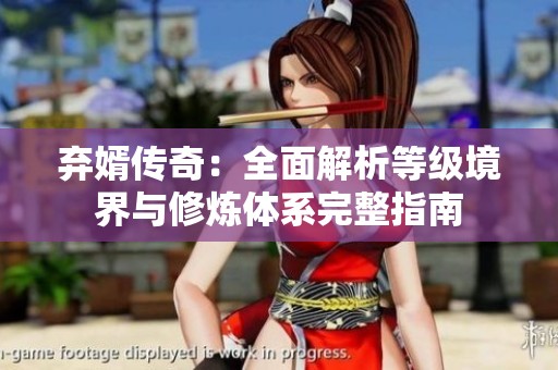弃婿传奇：全面解析等级境界与修炼体系完整指南