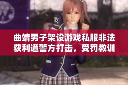 曲靖男子架设游戏私服非法获利遭警方打击，受罚教训深刻