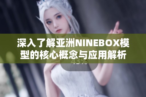 深入了解亚洲NINEBOX模型的核心概念与应用解析