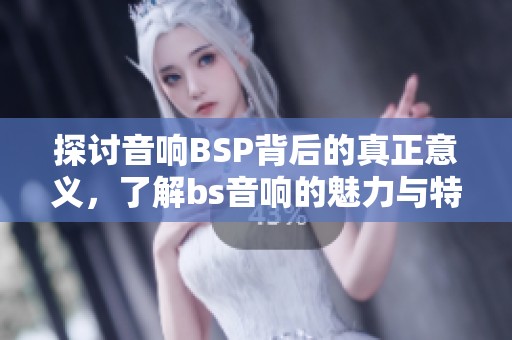 探讨音响BSP背后的真正意义，了解bs音响的魅力与特点