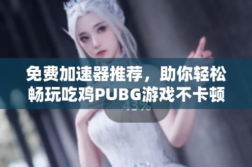 免费加速器推荐，助你轻松畅玩吃鸡PUBG游戏不卡顿