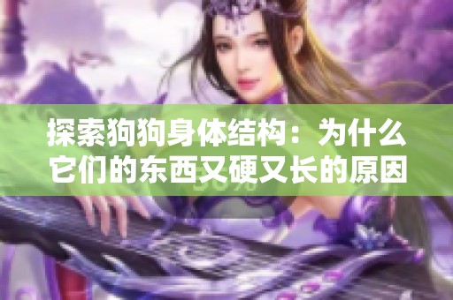 探索狗狗身体结构：为什么它们的东西又硬又长的原因分析