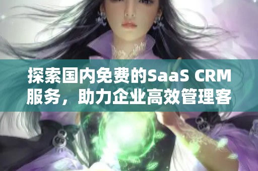 探索国内免费的SaaS CRM服务，助力企业高效管理客户关系