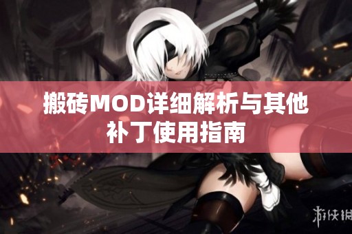 搬砖MOD详细解析与其他补丁使用指南