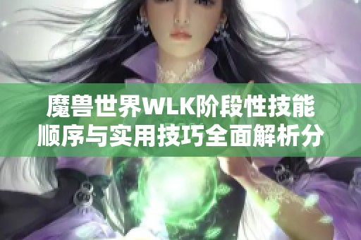 魔兽世界WLK阶段性技能顺序与实用技巧全面解析分享