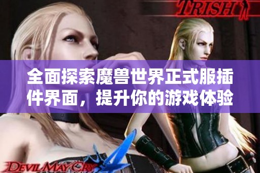 全面探索魔兽世界正式服插件界面，提升你的游戏体验分享