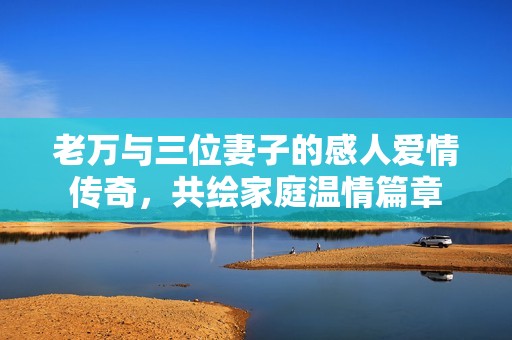 老万与三位妻子的感人爱情传奇，共绘家庭温情篇章