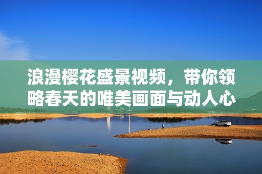 浪漫樱花盛景视频，带你领略春天的唯美画面与动人心弦的瞬间