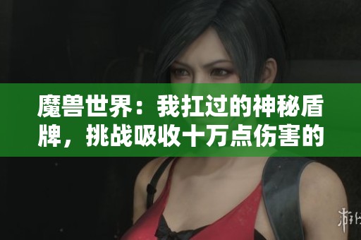 魔兽世界：我扛过的神秘盾牌，挑战吸收十万点伤害的传奇之旅