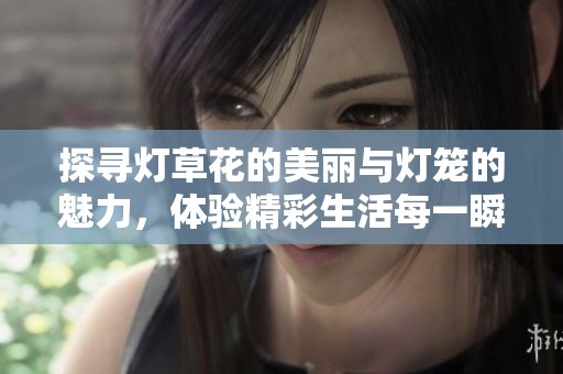探寻灯草花的美丽与灯笼的魅力，体验精彩生活每一瞬
