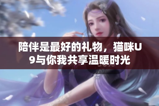 陪伴是最好的礼物，猫咪U9与你我共享温暖时光