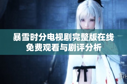 暴雪时分电视剧完整版在线免费观看与剧评分析