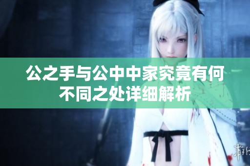 公之手与公中中家究竟有何不同之处详细解析