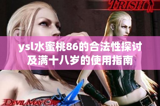 ysl水蜜桃86的合法性探讨及满十八岁的使用指南