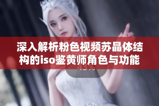 深入解析粉色视频苏晶体结构的iso鉴黄师角色与功能