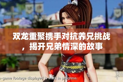 双龙重聚携手对抗养兄挑战，揭开兄弟情深的故事