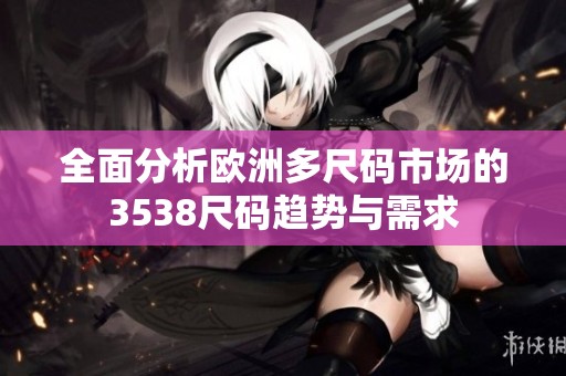 全面分析欧洲多尺码市场的3538尺码趋势与需求