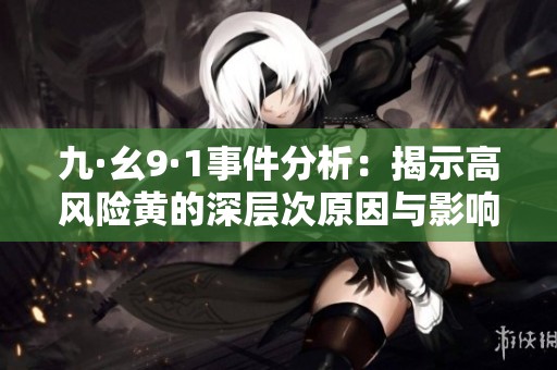 九·幺9·1事件分析：揭示高风险黄的深层次原因与影响