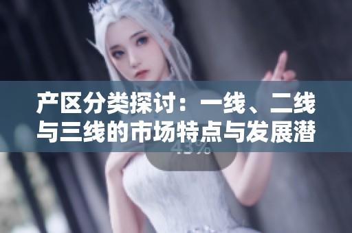 产区分类探讨：一线、二线与三线的市场特点与发展潜力分析