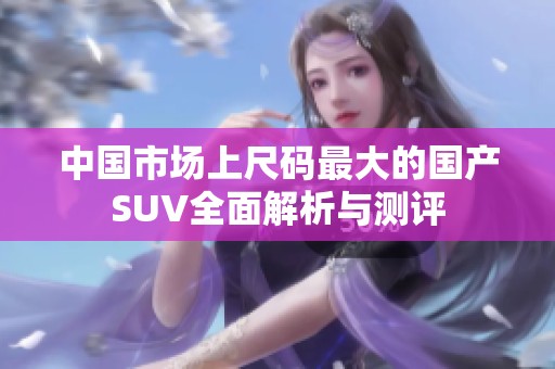 中国市场上尺码最大的国产SUV全面解析与测评