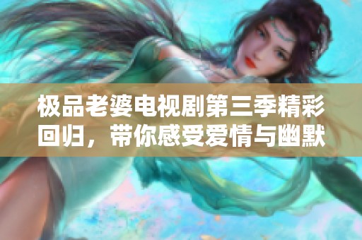 极品老婆电视剧第三季精彩回归，带你感受爱情与幽默的碰撞