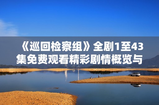 《巡回检察组》全剧1至43集免费观看精彩剧情概览与分析