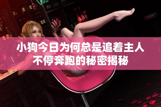 小狗今日为何总是追着主人不停奔跑的秘密揭秘