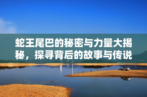 蛇王尾巴的秘密与力量大揭秘，探寻背后的故事与传说