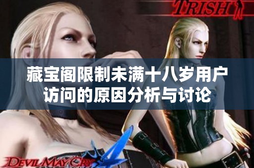藏宝阁限制未满十八岁用户访问的原因分析与讨论