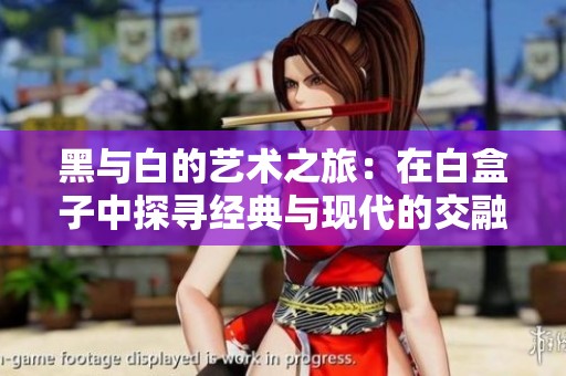 黑与白的艺术之旅：在白盒子中探寻经典与现代的交融
