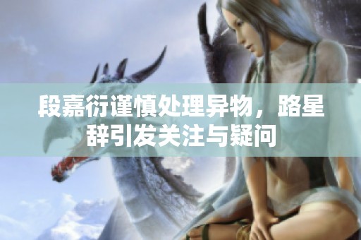 段嘉衍谨慎处理异物，路星辞引发关注与疑问