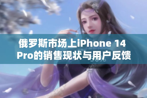 俄罗斯市场上iPhone 14 Pro的销售现状与用户反馈分析