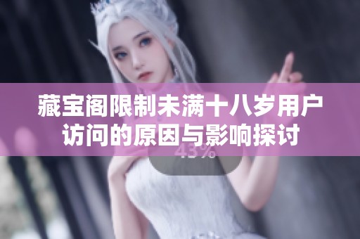 藏宝阁限制未满十八岁用户访问的原因与影响探讨