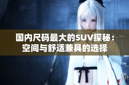 国内尺码最大的SUV探秘：空间与舒适兼具的选择