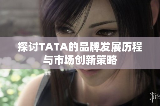 探讨TATA的品牌发展历程与市场创新策略