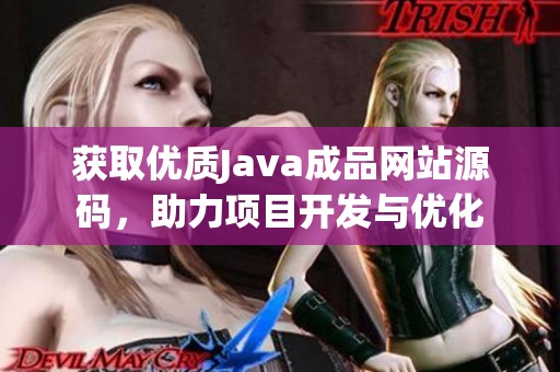 获取优质Java成品网站源码，助力项目开发与优化