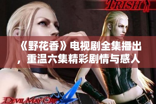 《野花香》电视剧全集播出，重温六集精彩剧情与感人瞬间