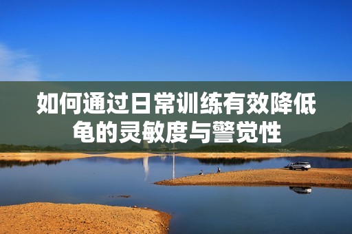 如何通过日常训练有效降低龟的灵敏度与警觉性