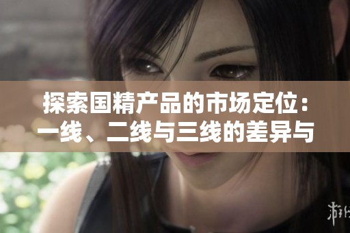 探索国精产品的市场定位：一线、二线与三线的差异与发展潜力