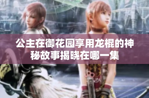 公主在御花园享用龙棍的神秘故事揭晓在哪一集