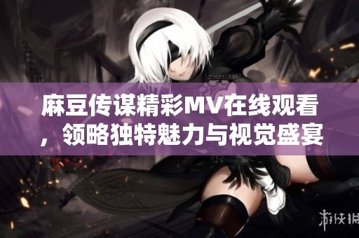 麻豆传谋精彩MV在线观看，领略独特魅力与视觉盛宴
